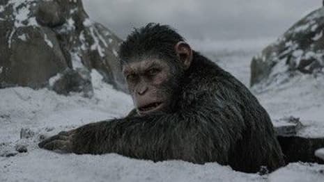 WAR FOR THE PLANET OF THE APES: New Clip, TV Spots, Featurettes, & Stills Tease The Calm Before The Storm