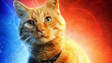 CAPTAIN MARVEL: Here's Why Chewie Was Renamed Goose In The Marvel Studios Movie