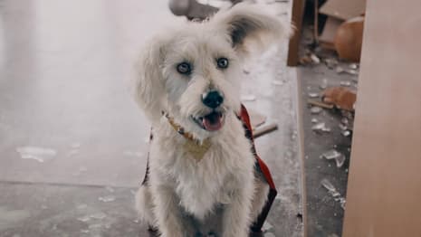 James Gunn For Best Director? Warner Bros. Mounts Ambitious FYC Oscar Campaign For SUPERMAN