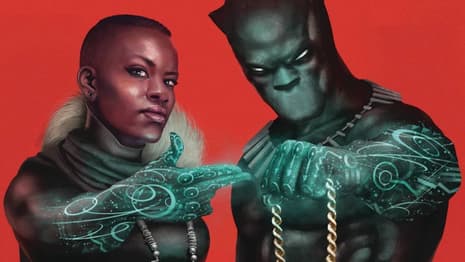RUMOR: New Details On Who Will Hold The BLACK PANTHER Mantle Moving Forward Revealed - SPOILERS