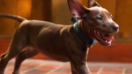 Scooby-Doo: Origins - Netflix Reveals New Look At Live-Action Show's Adorable Canine Star