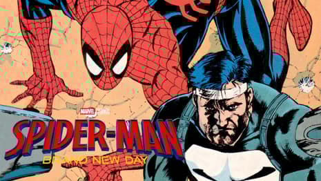 SPIDER-MAN: BRAND NEW DAY - 6 Spider-Man/Punisher Comic Book Stories That Could Inspire Their MCU Team-Up