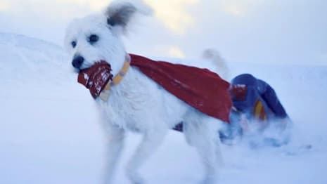 SUPERMAN: Life-Size Statue Of David Corenswet's Man Of Steel With Krypto Unveiled At Mumbai Comic Con