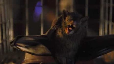 THE BATMAN International Teaser Contains Plenty Of Intriguing New Footage