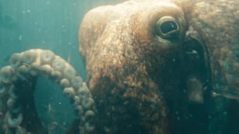 THE BOYS: An Adult Toy Based On... The Deep's Octopus Lover Ambrosius Is Now Available - NSFW