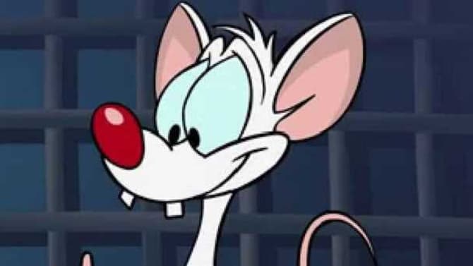 ANIMANIACS: Rob Paulsen Reveals British Humor Crafted The Voices Of Pinky And Dr. Scrathansniff - Exclusive