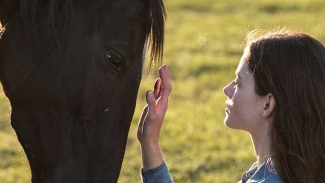 BLACK BEAUTY: Kate Winslet Voices The Titular Horse In First Trailer For New Disney+ Adaptation