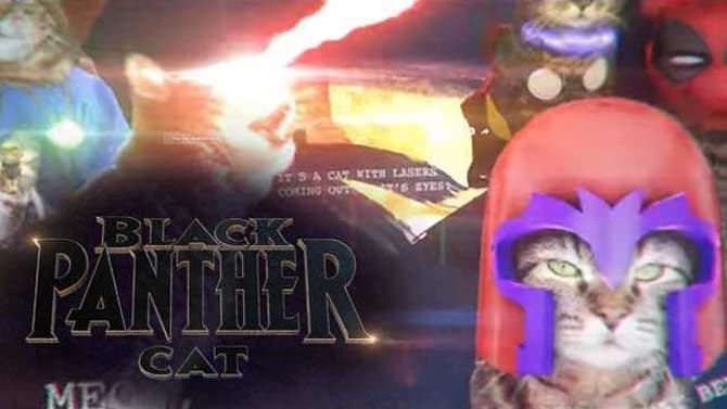 BLACK PANTHER CAT - Kaipo At It Again With New BLACK PANTHER Parody!