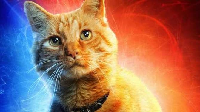 CAPTAIN MARVEL: Here's Why Chewie Was Renamed &quot;Goose&quot; In The Marvel Studios Movie