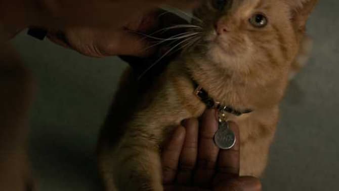 CAPTAIN MARVEL Stars Brie Larson And Samuel L. Jackson Share Their On-Set Experiences With Goose The Cat