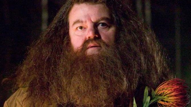 Robbie Coltrane, Beloved HARRY POTTER And JAMES BOND Star, Has Passed Away At The Age Of 72