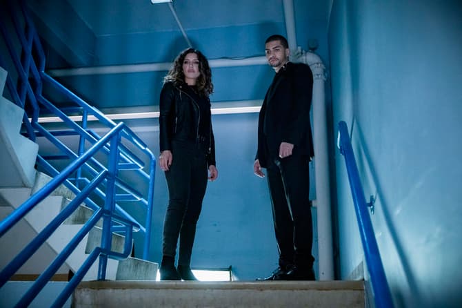 Arrow' Final Season: Willa Holland Returns, Recurs as Thea – TVLine
