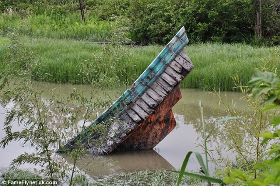 Blockbuster: The new Godzilla will star Bryan Cranston, Aaron Taylor-Johnson and Elizabeth Olsen