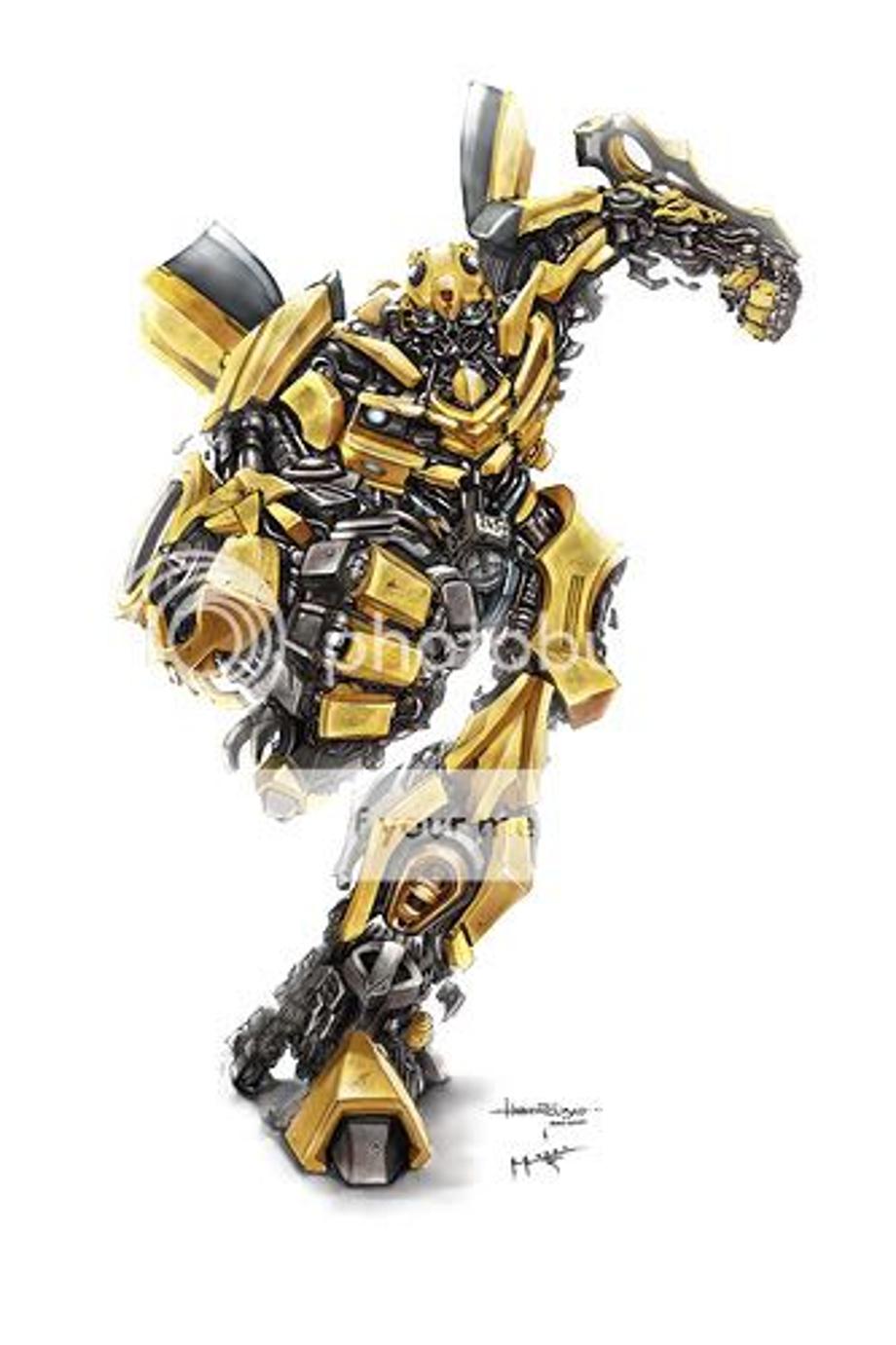 bumblebee Pictures, Images and Photos