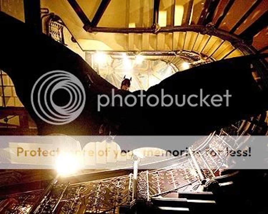 bat Pictures, Images and Photos