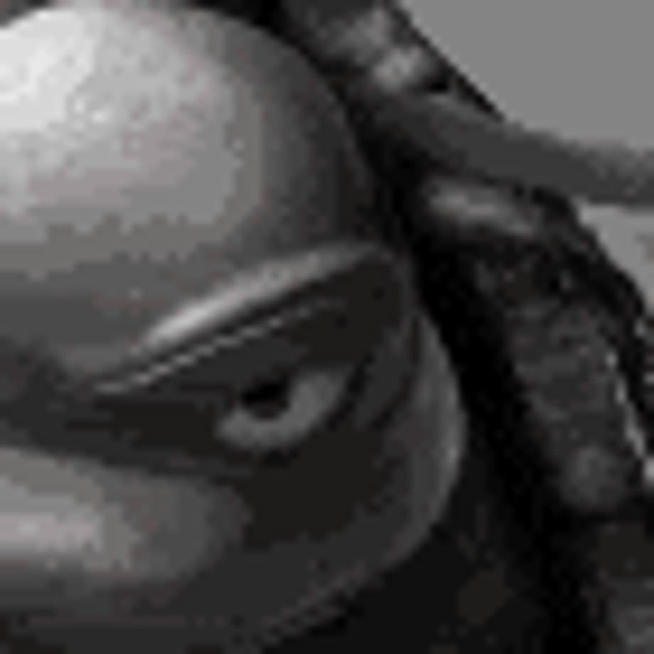 tmnt Pictures, Images and Photos