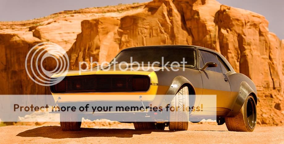  photo Bumblebee-980_zpsfecd7bc8.jpg