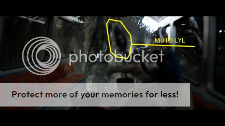  photo BVxRHR4jpg1_zps06827ede.jpg