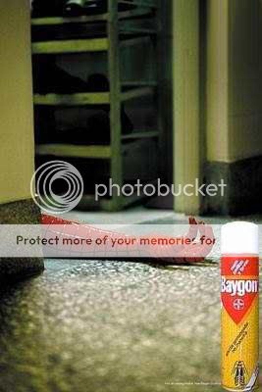 spiderman Pictures, Images and Photos