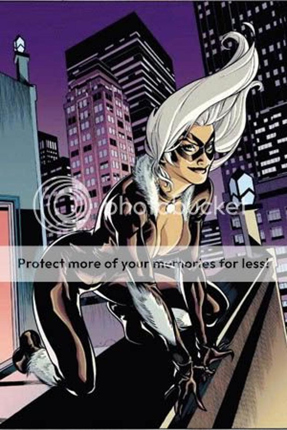 black cat Pictures, Images and Photos