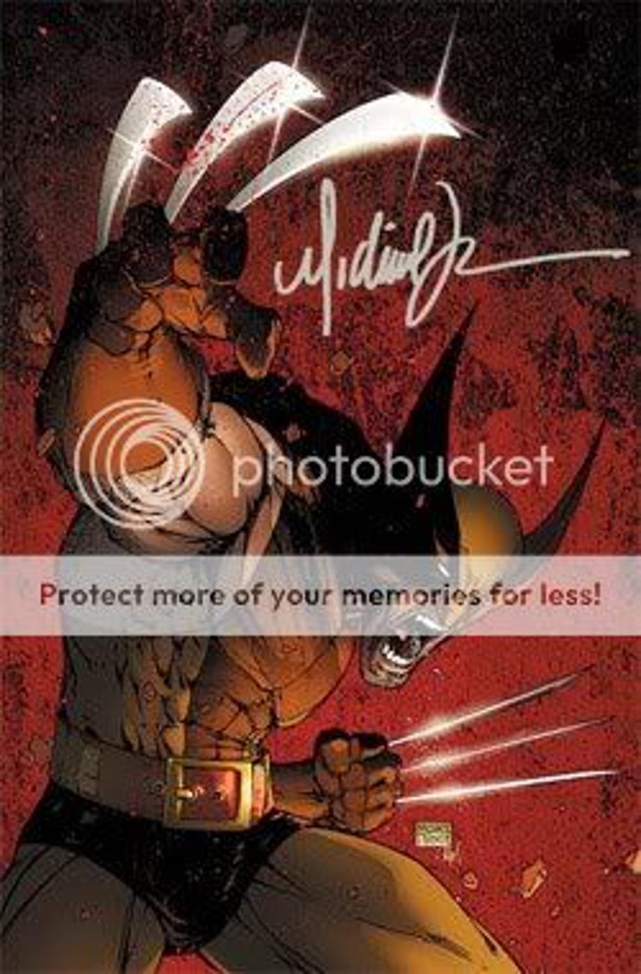 wolverine Pictures, Images and Photos