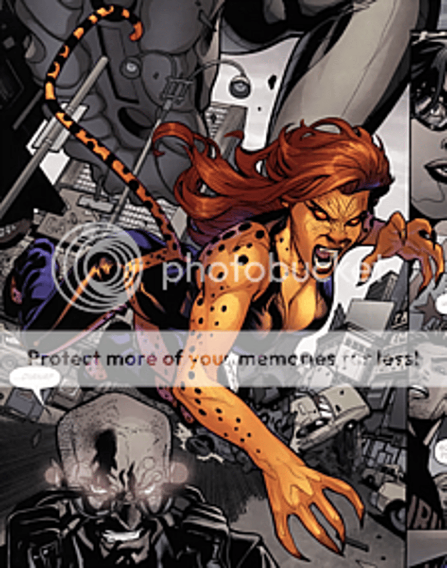 Cheetah Pictures, Images and Photos