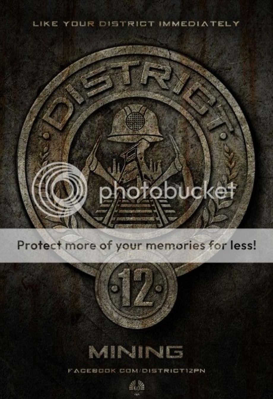  photo hunger_games_ver13_zpsd90f5979.jpg