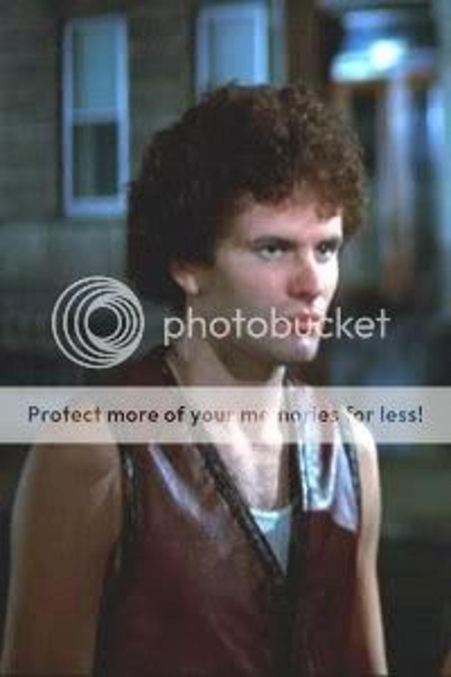 The Fox Pictures, Images and Photos