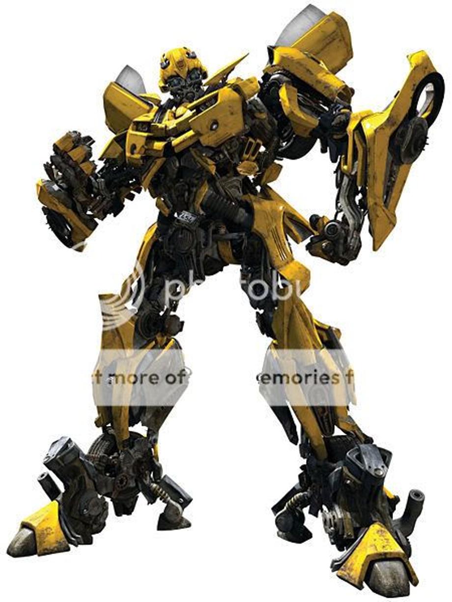 Bumblebee Pictures, Images and Photos