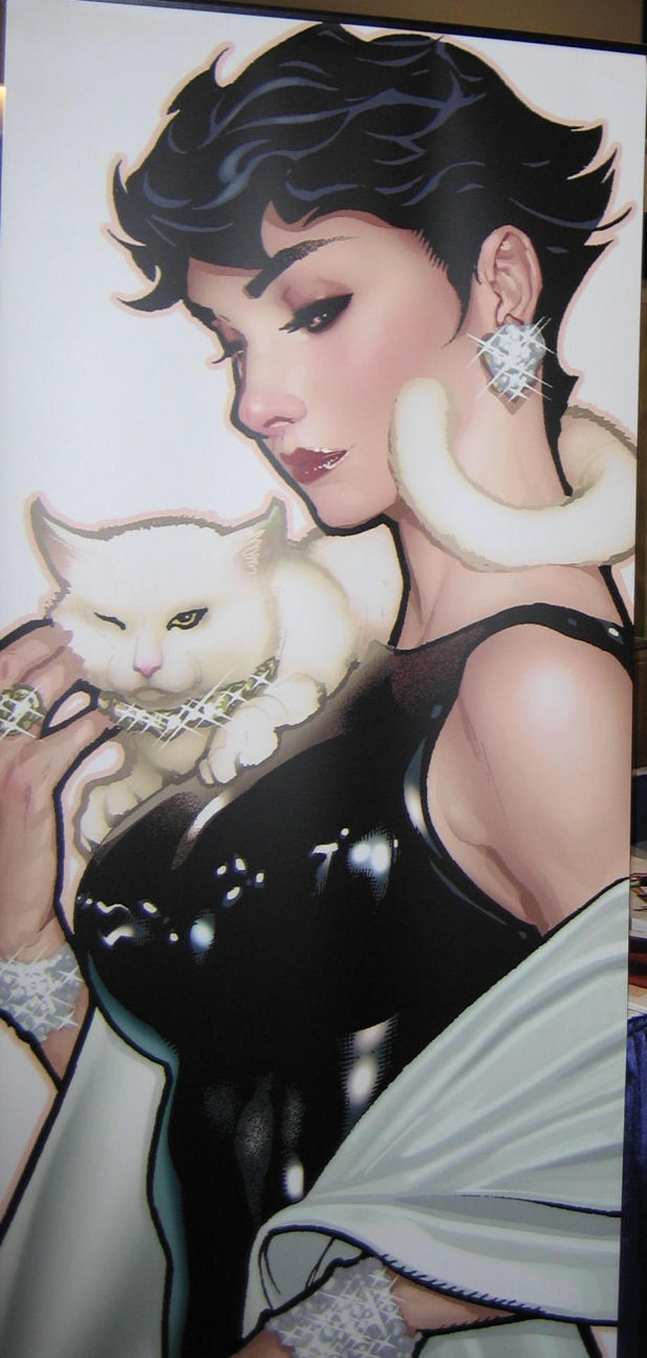 Image result for adam hughes catwoman