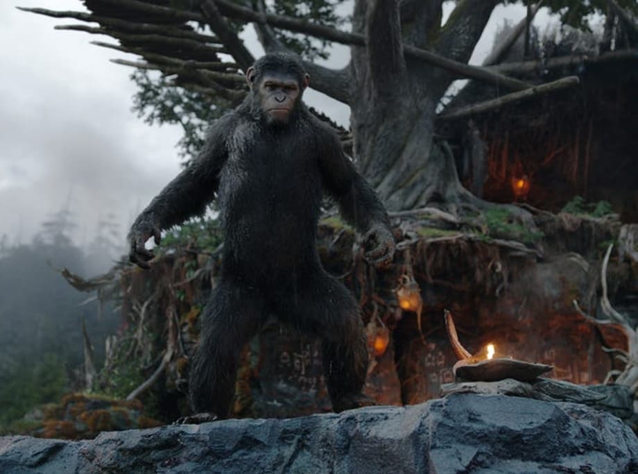 The highly intelligent ape Caesar (Andy Serkis) is the leader of the ape nation in 'Dawn of the Planet of the Apes.' Through the first part of the movie (out July 11), it seems clear that humans have been wiped out by a deadly virus.