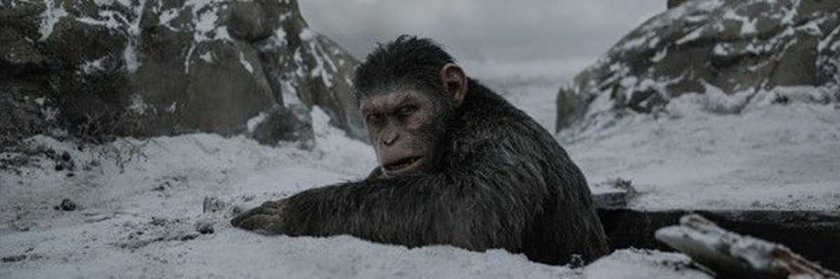 WAR FOR THE PLANET OF THE APES: New Clip, TV Spots, Featurettes, & Stills Tease The Calm Before The Storm