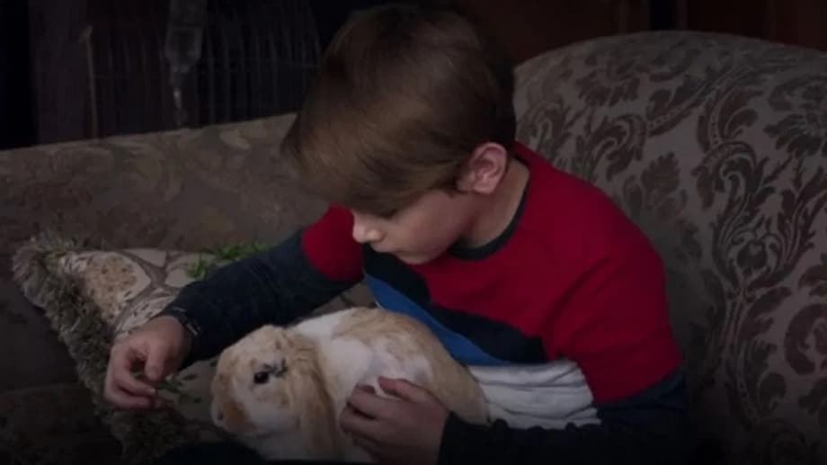 p166-2d-pt1-v4034-0128-210129-21mj-g-r709-169137-r43243