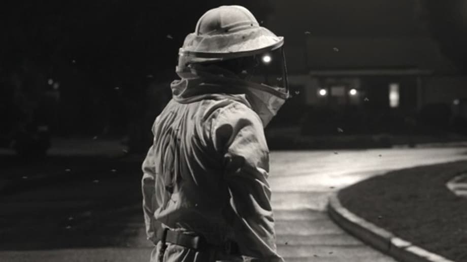 p166-2d-pt1-v4034-0128-210129-21mj-g-r709-169137-r43243553535