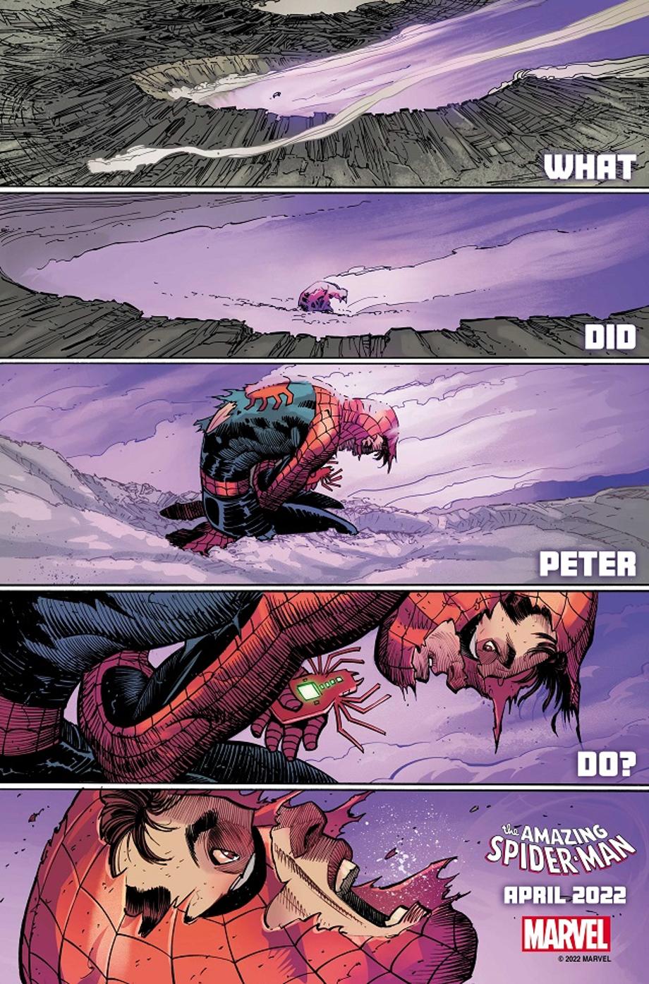 What-Did-Peter-Do