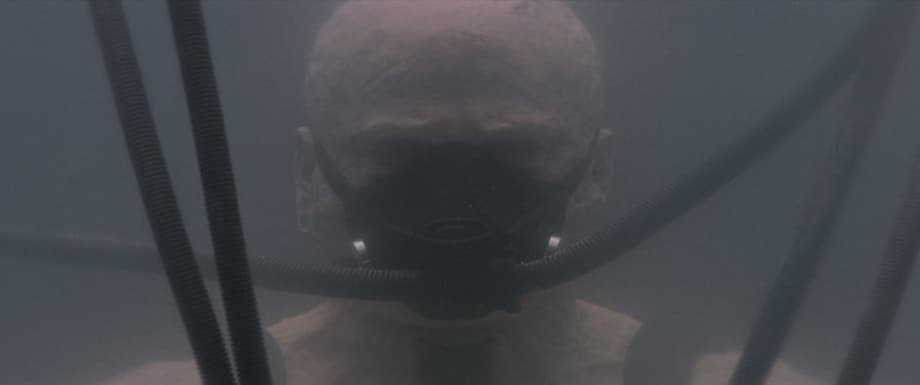 6ztb5wnkg85r5wx8zc826cm