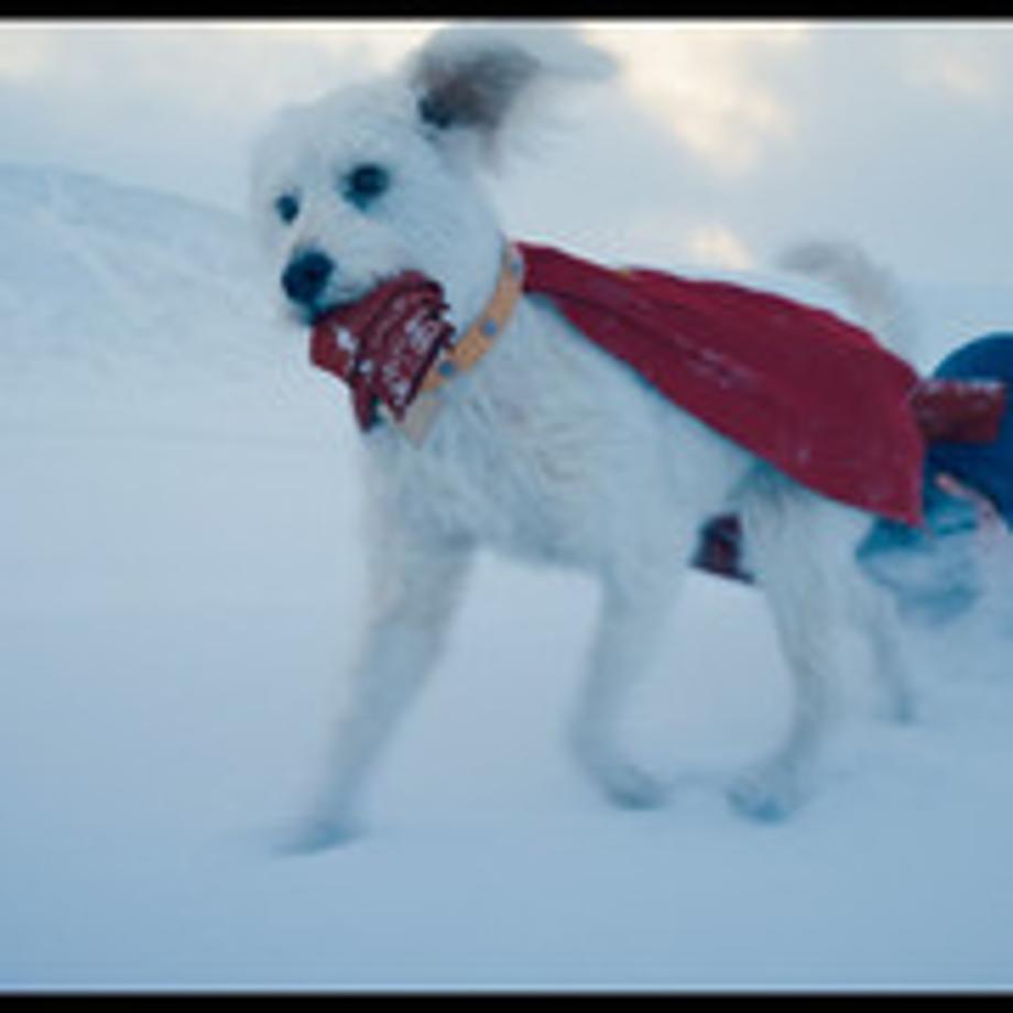 Superman-Official-Teaser-Trailer-1-57-screenshot-copy