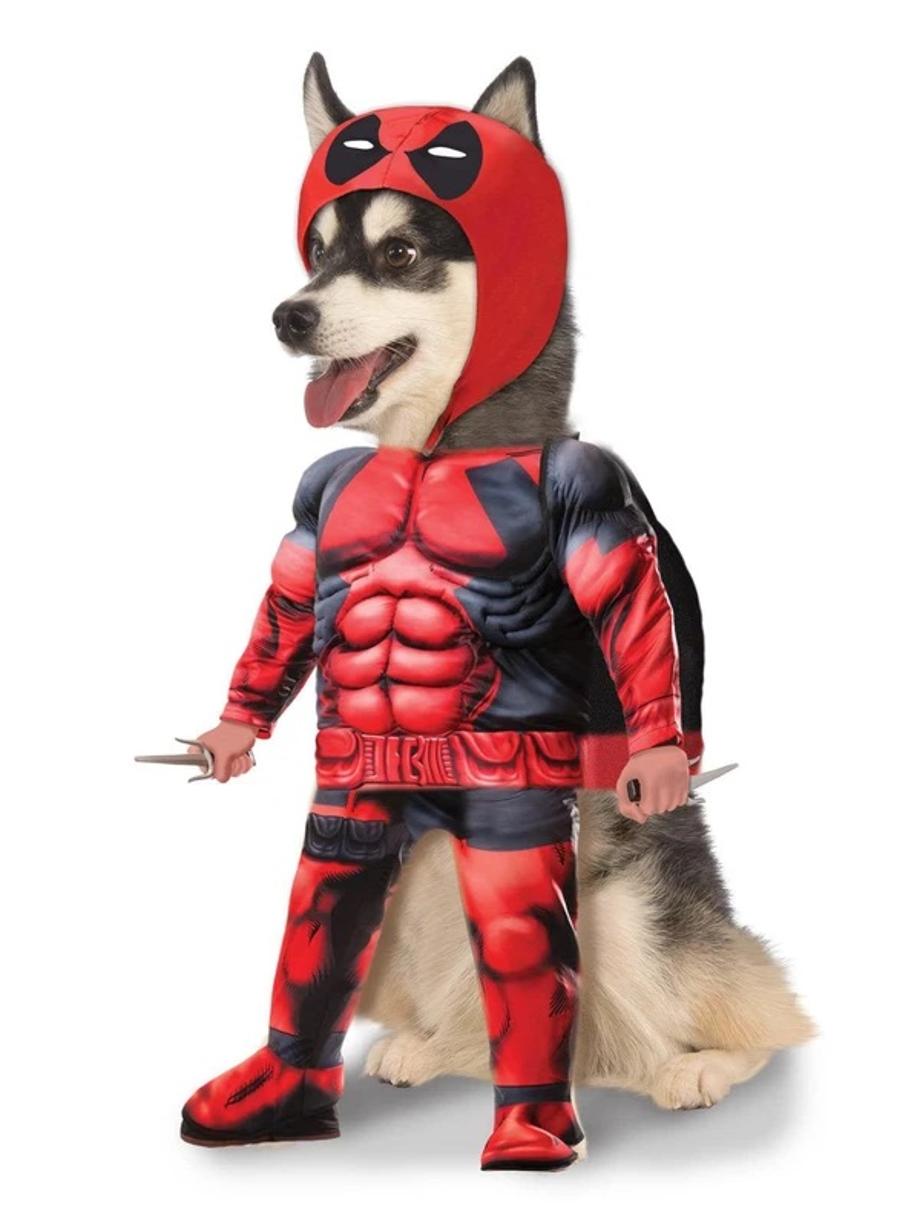 2938231e1w1213443332341111123322333333w3