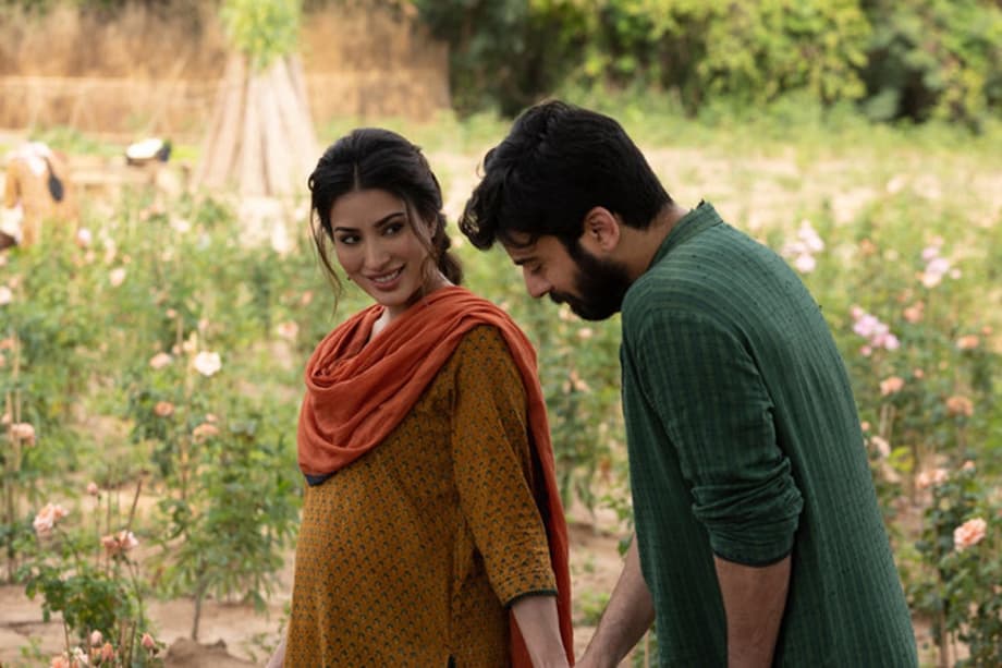 x98ww8rq3g8bn848b36fss83