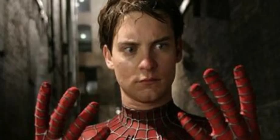 293829321324r132331334