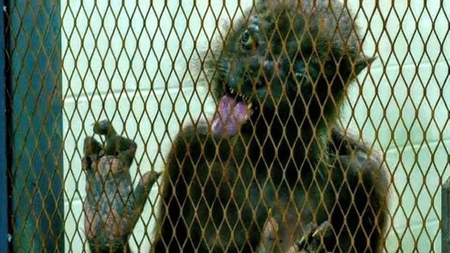 738273321333222ww2q133332