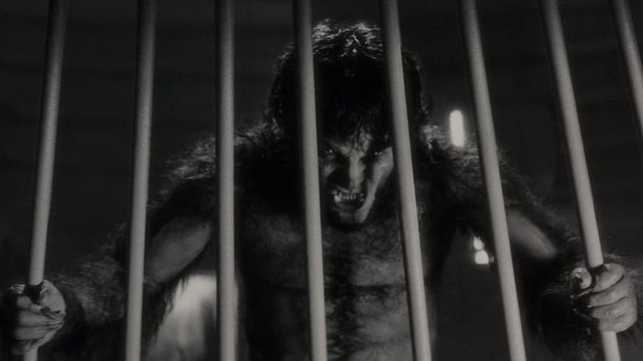 kbvq9khzjnwf68r5gjsp28