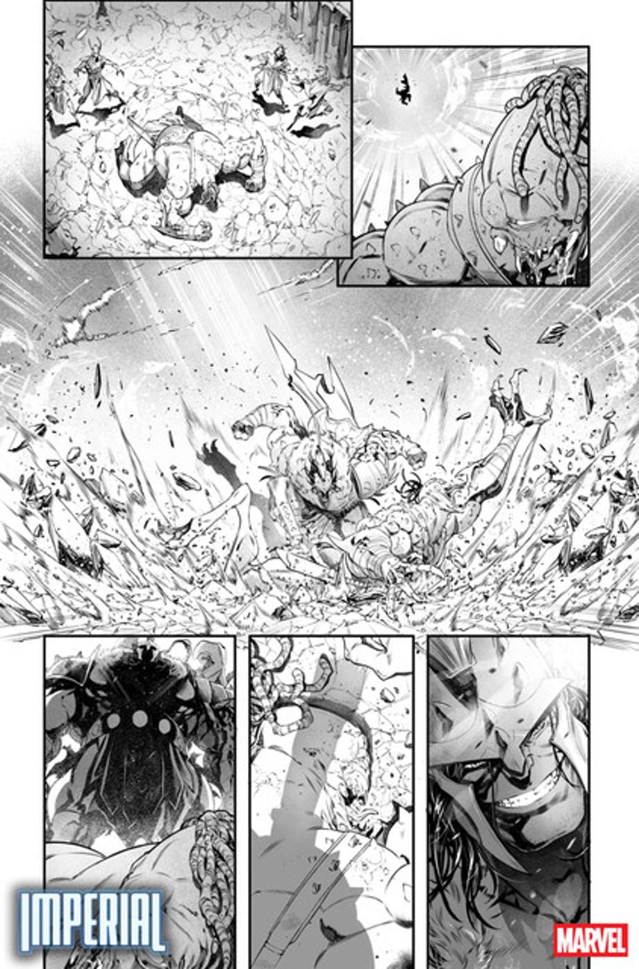 Imperial2025-1-Coello-Interior-D