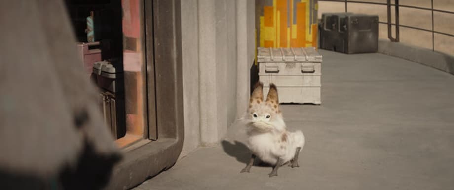 ppb93hc6q6gtvcgwvfk8w8