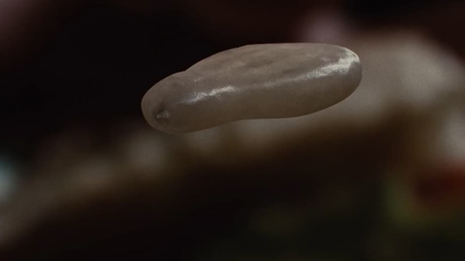 2932832d123344134341213124324344444