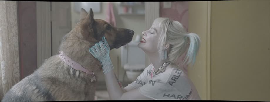 Birds-Of-Prey-Weta-Digital-VFX-03-C