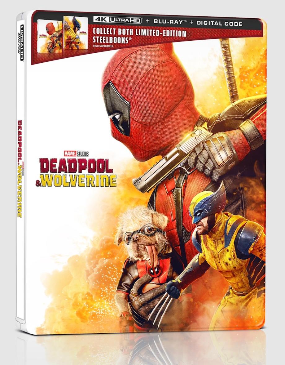 Screenshot-2024-10-30-at-13-50-13-copy