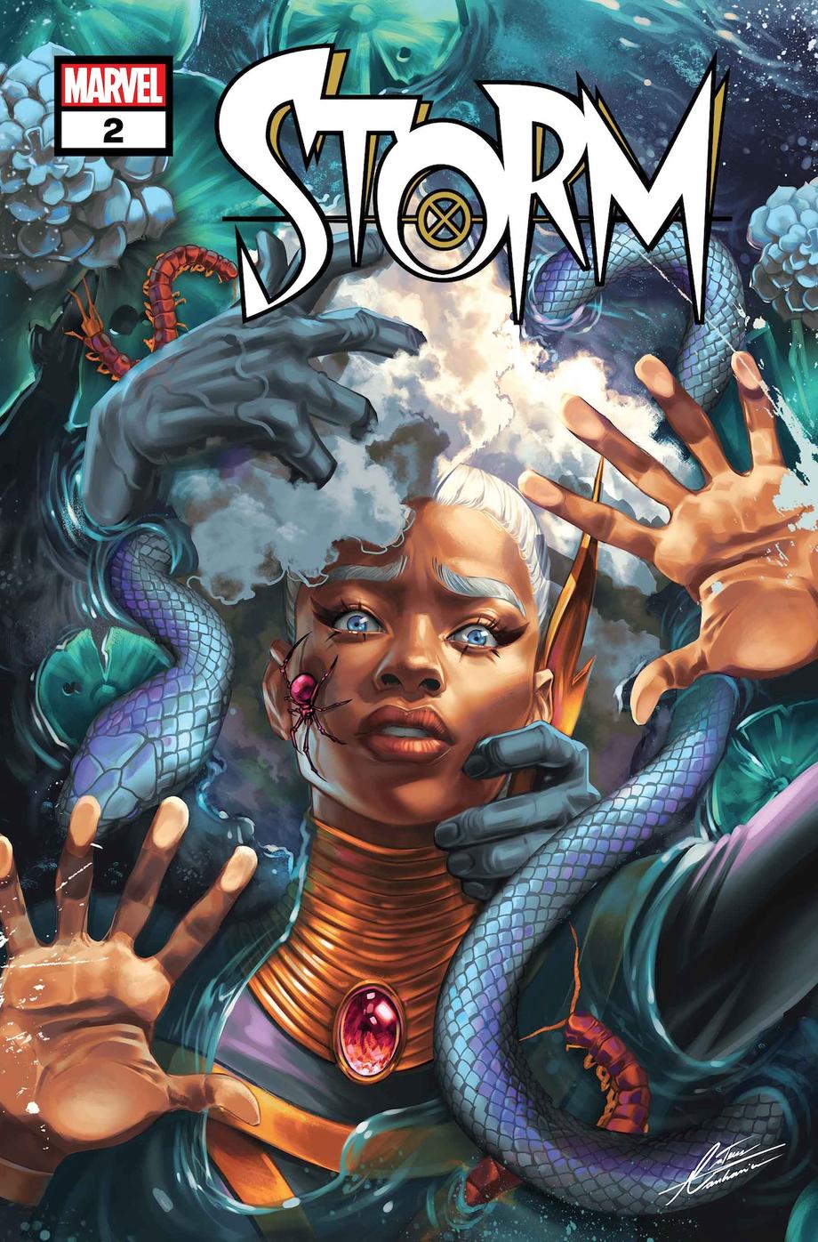 STORM2024002-Cover