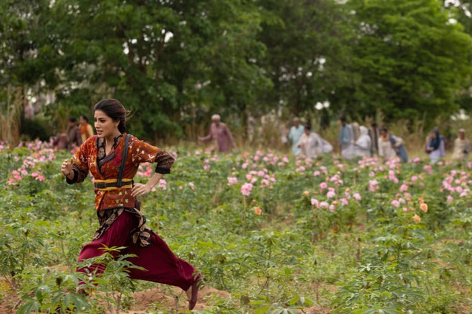 g57nvb2q6w9mswghwpn4bhr9