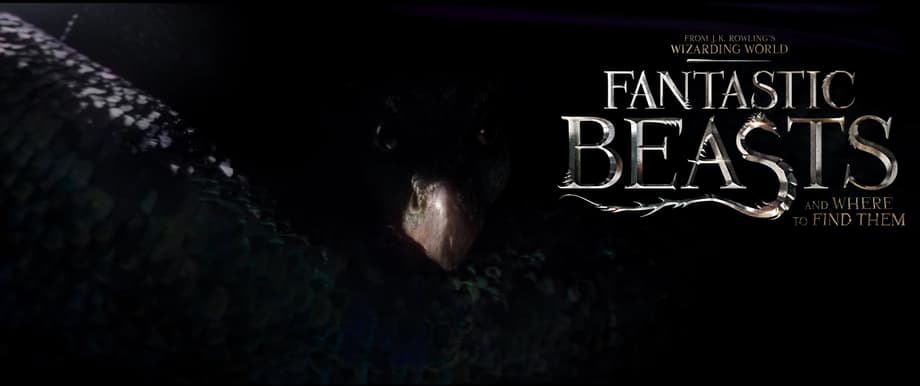 The Beasts Are Unleashed In An Extraordinary New Trailer For FANTASTIC BEASTS AND WHERE TO FIND THEM